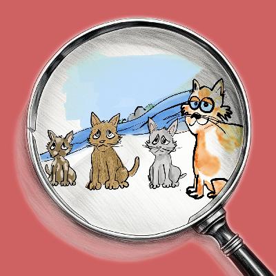 Kater Vivaldi: die Rettung der Kätzchen Kater Vivaldi: die Rettung der Kätzchen