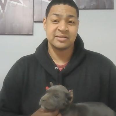 Cane Corso Puppies: What You Need to Know Before Breeding | S5-E11
