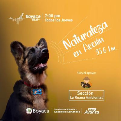 T2-Ep 5 - Hablemos de la Política Pública de Protección y Bienestar Animal del departamento de Boyacá