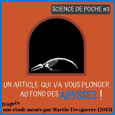 Science de poche #3 : un ver des abysses nécrophage !