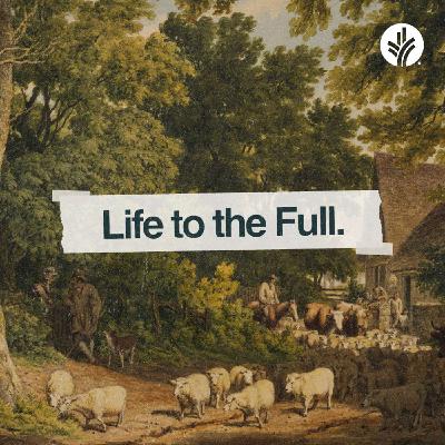 235. Life to the Full | Discover the Word Podcast 235. Life to the Full | Discover the Word Podcast