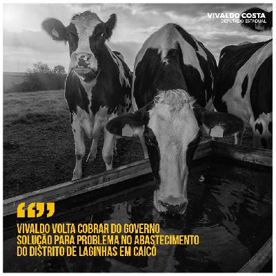 📻 PODCAST DO PAPA