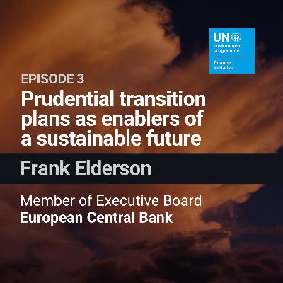 Prudential Transition Plans as Enablers of a Sustainable Future with Frank Elderson