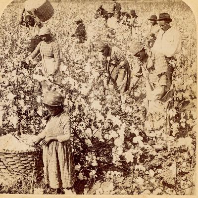 Juneteenth – Time to Contemplate – Not Just Celebrate