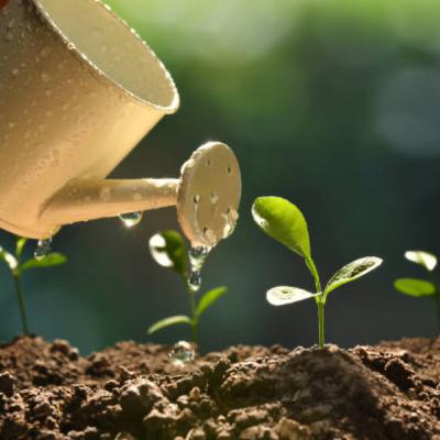 The more you do the more you get “5 of 30” The more you do the more you get “5 of 30”