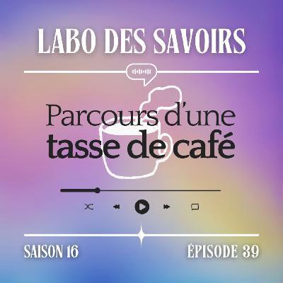 Parcours d'une tasse de café