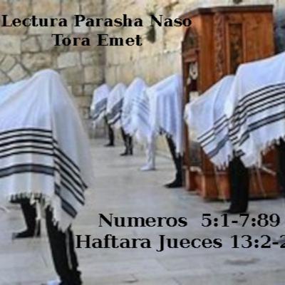Lectura Parasha Naso _ Tora Emet