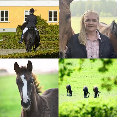 Avsnitt 88. Möt SWBs nya VD och prat om hästvälfärd! Avsnitt 88. Möt SWBs nya VD och prat om hästvälfärd!