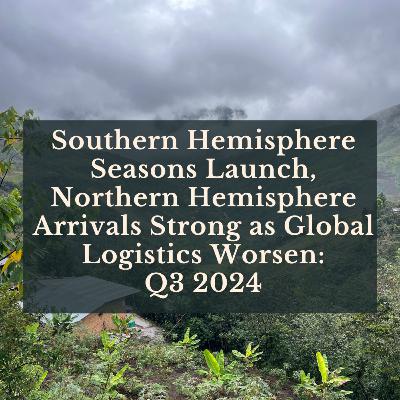 Southern Hemisphere Seasons Launch, Northern Hemisphere Arrivals Strong as Global Logistics Worsen: Q3 2024
