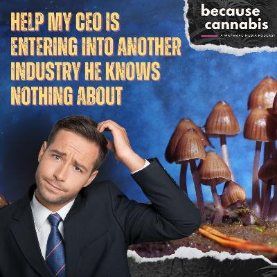 Busting Unions and Selling Ditch 'Shrooms - What is Happening to our Cannabis Companies?! Busting Unions and Selling Ditch 'Shrooms - What is Happening to our Cannabis Companies?!