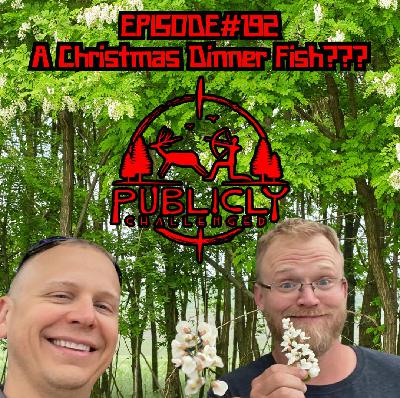 EPISODE#192-A CHRISTMAS DINNER FISH??? EPISODE#192-A CHRISTMAS DINNER FISH???