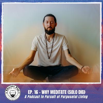 Ep. 16 - Why Meditate? (solo dig) Ep. 16 - Why Meditate? (solo dig)