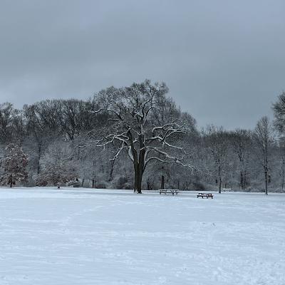 EP1 冬日极致御寒食谱：羊肉汤里猛撒胡椒粉，再来一碗冷水泡饭顺香肠