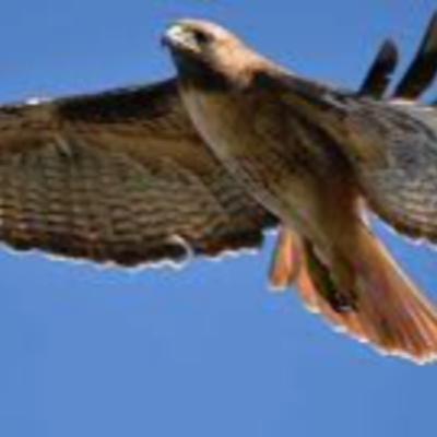 Guided Mediation Light code transmission