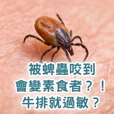 【S2 EP.104】被蜱蟲咬到會變素食者?! 一吃牛排就過敏? 【S2 EP.104】被蜱蟲咬到會變素食者?! 一吃牛排就過敏?