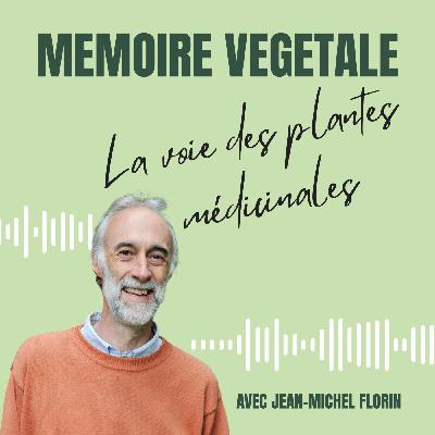Episode 3 : Conférence Médiplant avec Jean-Michel Florin Episode 3 : Conférence Médiplant avec Jean-Michel Florin