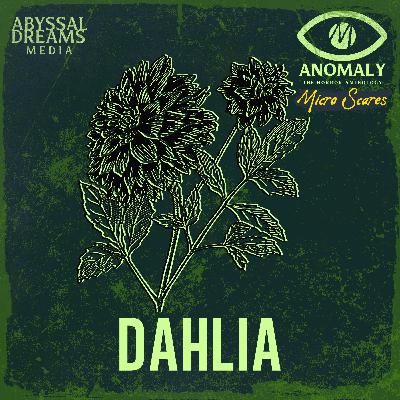 Dahlia ~ Micro Scares 3