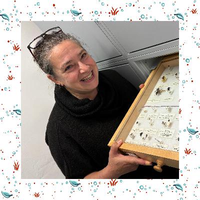 Why flies matter, with Dr Erica McAlister