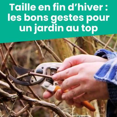 Taille en fin d'hiver : les bons gestes pour un jardin au top