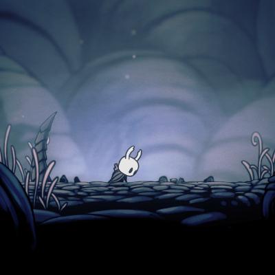 Bonfireside Chat Appendix: Hollow Knight
