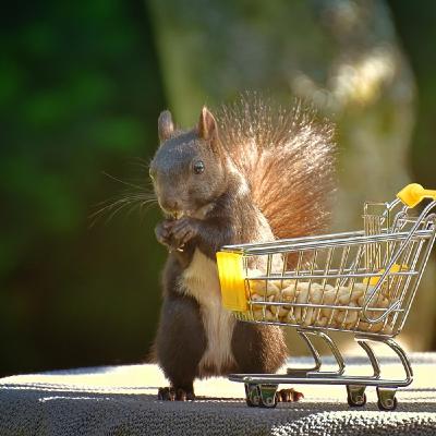 #26 Green Tips per salvare il pianeta [numero 3]