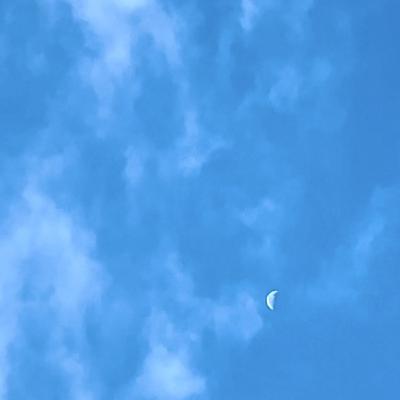 同在 同在