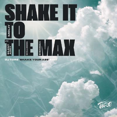 MOLIY ft. SILENT ADDY SKILLIBENG & SHENSEEA - SHAKE YOUR ASS TO THE MAX ( DJ TORE Edit ACAP OUT )