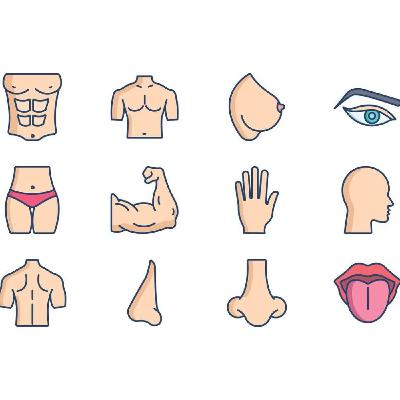 Parts of your body Parts of your body