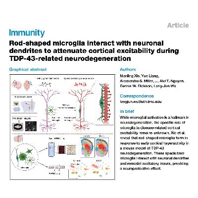 337-TDP-43神经退行中杆状小胶质细胞的神经保护作用