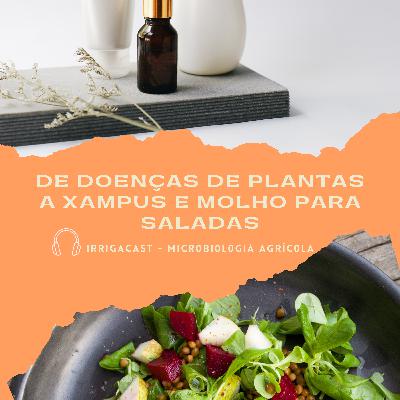 MicroCast 07 - De doenças de plantas à xampus e molhos para salada. Que bactéria é essa? MicroCast 07 - De doenças de plantas à xampus e molhos para salada. Que bactéria é essa?