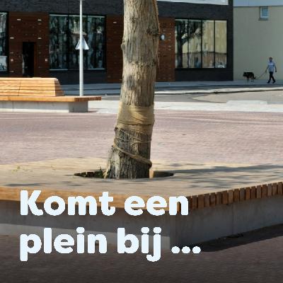 Wat gaat er voor, boomwortels of een strak plein? Wat gaat er voor, boomwortels of een strak plein?