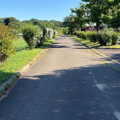 8.13 さんぽライブ