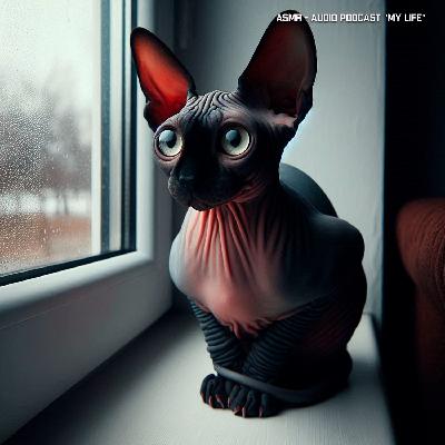 ASMR - Один вечер в моем городе