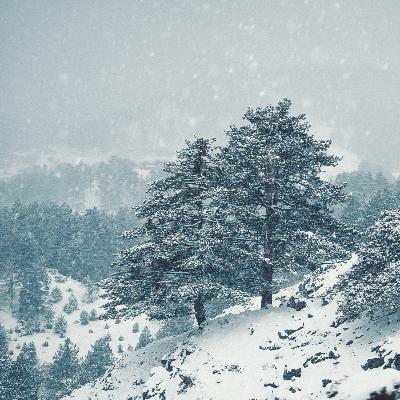 Snow Storm Fan for Deep Sleep, Relaxation & Focus – Cold Winter White Noise Ambience 9 Hours