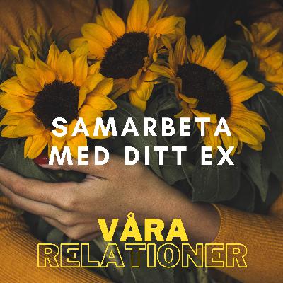 #4.1 - samarbeta med ditt ex