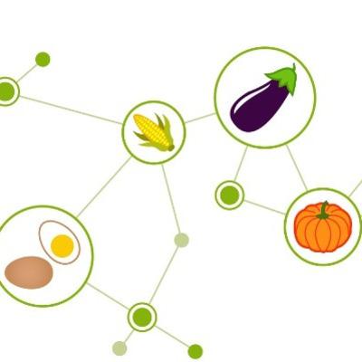 Áreas da Nutrição - Jéssica Ferreira de Carvalho, Karol Bonessi da Silva e Mariana Fernandes Jacobi
