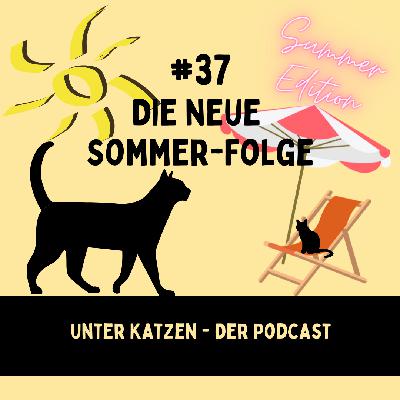 #37 Die neue Sommer-Folge