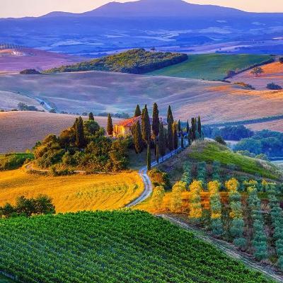 The rolling hills of Tuscany