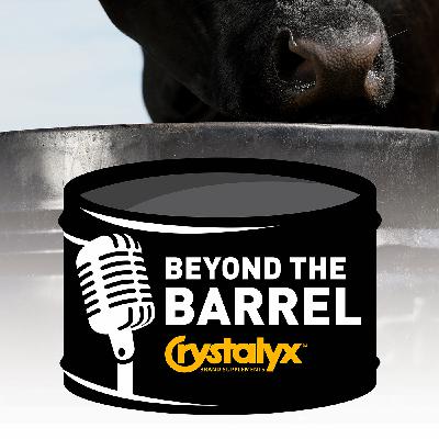Does Crystalyx Pencil Out? Part Two.