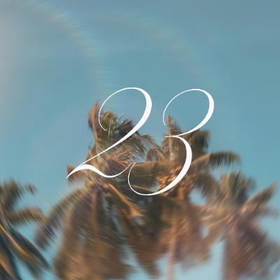 psalms for the summer. 23. chris scoz