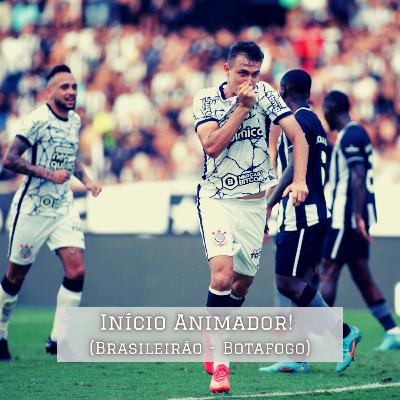 Início Animador! (Brasileirão - Botafogo)