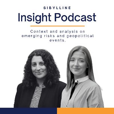 The New Trump Administration | Sibylline Insight EP. 29 The New Trump Administration | Sibylline Insight EP. 29