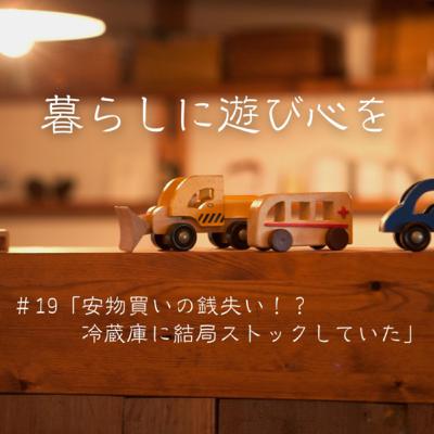 #19「安物買いの銭失い!?冷蔵庫に結局ストックしていた」 #19「安物買いの銭失い!?冷蔵庫に結局ストックしていた」