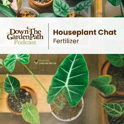 Houseplant Chat: Fertilizer