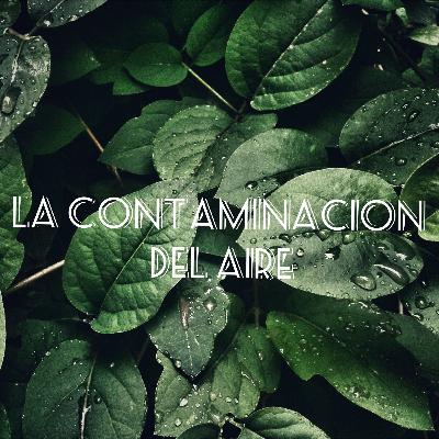 LA CONTAMINACION DEL AIRE Y COMO MITIGARLA