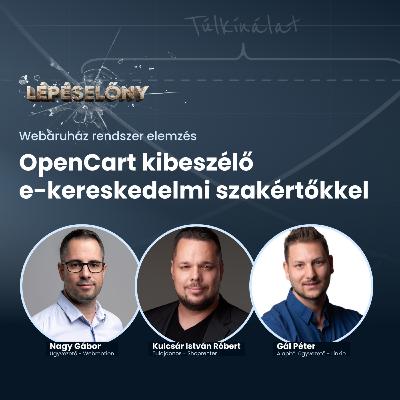 OpenCart kibeszélő e-kereskedelmi szakértőkkel OpenCart kibeszélő e-kereskedelmi szakértőkkel