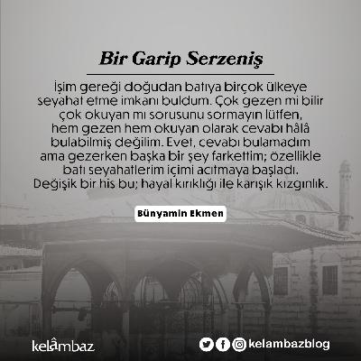 Bir Garip Serzeniş