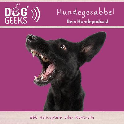 #66 DogGeeks-Hundegesabbel „Helicoptern oder Kontrolle“