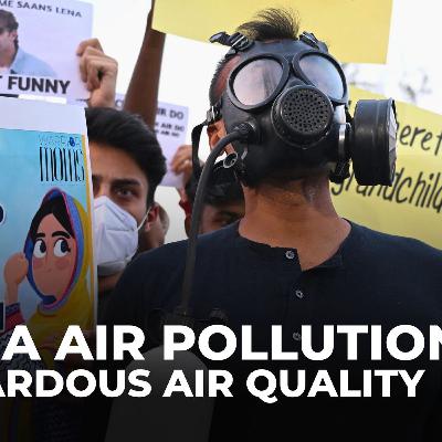 ‘I just want to breathe’: Protests over pollution in India's New Delhi