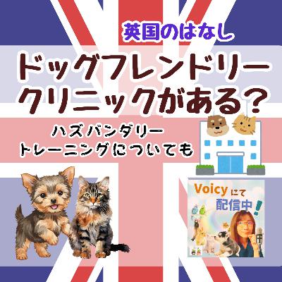 一般公開LIVE🍀英国には「ドッグフレンドリークリニック」がある❓🐶🐱